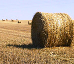 Balle de paille